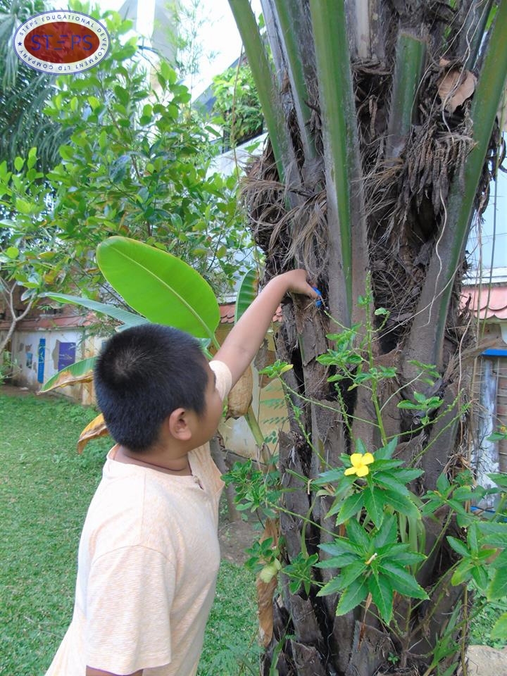 egg hunting at steps special school 9